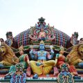 इनडोर पौधों का स्थान निर्धारण और उनके स्वास्थ्यवर्धक प्रभाव
