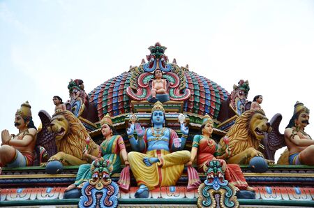 इनडोर पौधों का स्थान निर्धारण और उनके स्वास्थ्यवर्धक प्रभाव