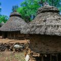 Traditional Village Architecture and Climate Adaptation Methods in Rural India
