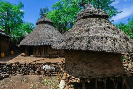 Traditional Village Architecture and Climate Adaptation Methods in Rural India