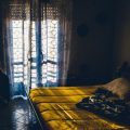 Identifying & Removing Negative Energy in Bedroom: Vastu Tips for Positive Vibes