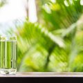 Vastu Tips for Aquarius: Water Tank & Borewell Placement in Indian Homes