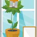 Vastu Tips: Best Office Conference Room Plants for Productivity in India