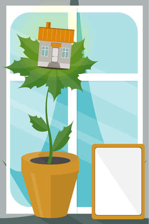 Vastu Tips: Best Office Conference Room Plants for Productivity in India