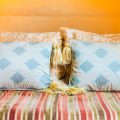 Best Bed and Mattress Setup for Peaceful Sleep in India