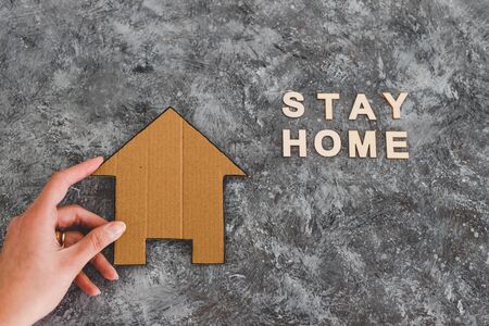 Medicinal Plants for Immunity: Home Placement & Everyday Use in India